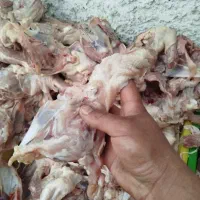 غذای حیوانات سگ،گربه، پرنده،جونده،