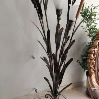 آباژور کنارسالنی