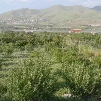 زمین سر خیابان 16متری