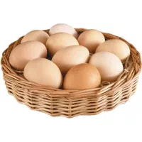 تخم مرغ محلی