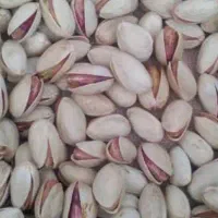 خرید پسته پوک . پیتو.گالو..|خدمات باغبانی و درختکاری|زرند, |دیوار