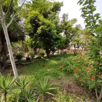 ویلاباغ عروسک*بلویج*سندتکبرگ*مستقل*قیمتکل|فروش خانه و ویلا|چمستان, |دیوار