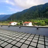 ویو برات مهمه این ویلارو بخر/چلک 455 متری|فروش خانه و ویلا|نوشهر, |دیوار