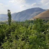 زمین مسکونی ارنگه اول جاده چالوس|فروش زمین و ملک کلنگی|آسارا, |دیوار