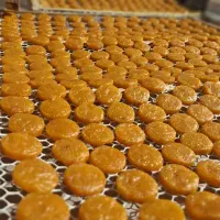 قیصی آلوبخارا (تناژ)