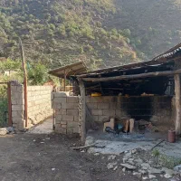 دامداری-و-زمین-باغی