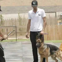 آموزش سگ .سگ گارد.مربی سگ|خدمات آموزشی|تهران, شهرک غرب|دیوار