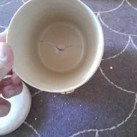 جا حبوباتی حبوبات|ظروف نگهدارنده، پلاستیکی، یکبارمصرف|پیشوا, |دیوار