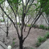 اجرای کار ساختمانی