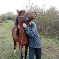 اسب خزر بازی گوش