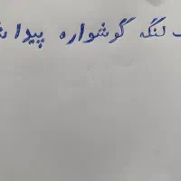 یک لنگه گوشواره طلا پیداشده