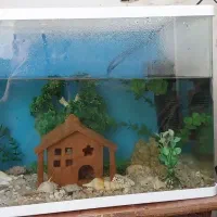 وسایل اکواریم