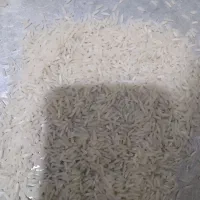 فروش ۲۰برنج طارم هاشمی محلی محمودآباد شمال