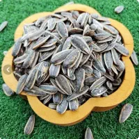 پخش عمده تخمه درجه یک لوکس  مشابه دهقان|خوردنی و آشامیدنی|محمدشهر, شهرک صنعتی زیبادشت|دیوار