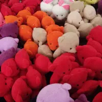 بوکت خرسی کادو همه مناسبت عمده|اسباب‌بازی بچه|پرند, فاز ۵|دیوار