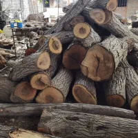 رامبری انواع چوب