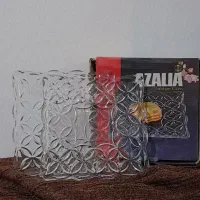 ظروف پذیرایی