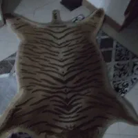 دو عدد پادری