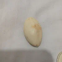 سنگهای قیمتی