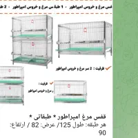 قفس مرغ و خروس برهما