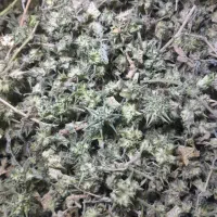 خارخاسک|خوردنی و آشامیدنی|رضویه, |دیوار