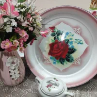 سینی وظروف محافظ غذا لعابی نوآک|ظروف نگهدارنده، پلاستیکی، یک‌بارمصرف|مشهد, ایثارگران|دیوار