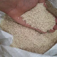 برنج چنپا
