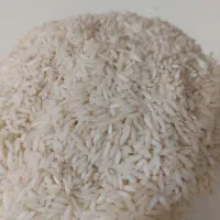 برنج طارم امرالهی یک تن