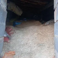 کاه دیم