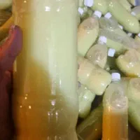 ابلیمو 100 طبیعی با پالم
