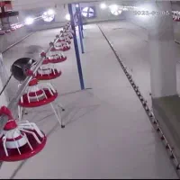 مرغداری ۲۰ هزار فروش|فروش دفتر صنعتی، کشاورزی، تجاری|سیلاخور, |دیوار