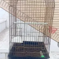 قفس کاسکویی ، قفس طوطی سانان