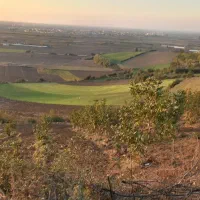 زمین کشاورزی دیم در دامنه کوه|فروش زمین و ملک کلنگی|خان ببین, |دیوار