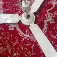 پنکه سقفی آشپزخانه.وسایل پژو۴۰۵وآچاربوکس|پنکه و تصفیه‌کنندهٔ هوا|ارومیه, |دیوار