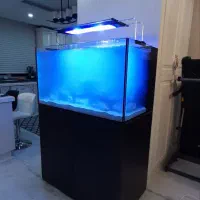 ساخت آکواریوم آب شور|ماهی|تهران, اسکندری|دیوار