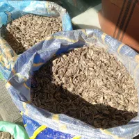 تخمه وخشکبار و عسل طبیعی