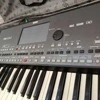 فروش ارگ pa600|پیانو، کیبورد، آکاردئون|بوشهر, |دیوار