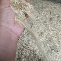 کاه دسته دروگر|لوازم جانبی حیوانات|مراوه, |دیوار