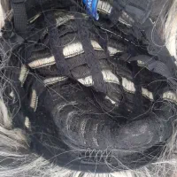 کلاگیس|کلکسیون و سرگرمی|زنجانرود, |دیوار