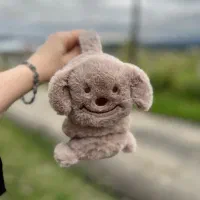 گوشگیر|لباس|رشت, دروازه لاکان|دیوار