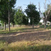 زمین و باغ با چاه عمیق مناسب گلخانه و مرغداری|فروش زمین و ملک کلنگی|ابهر, |دیوار