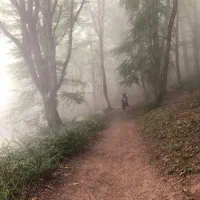 تور گروهی الیمستان ویژه 16 ابان