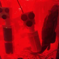 لجنخوار سایز بزرگ اسپرت|ماهی|اسدآباد, |دیوار