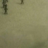 بلیط کنسرت مجید رضوی