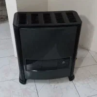 بخاری سالم و کم کار ایران کارتوس