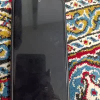 گوشی شیائومی|موبایل|کرمان, |دیوار