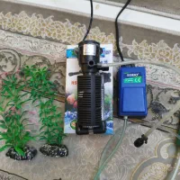 آکواریم|ماهی|مشهد, الهیه|دیوار