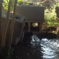 باغ باچهاردیواری ۳اتاق ۴۰متری گلخانه ۷۰۰متربرق|فروش دفتر صنعتی، کشاورزی، تجاری|فشاپویه, |دیوار