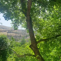 فروش باغ ۵۰۰ متری در بهترین منطقه ازغد