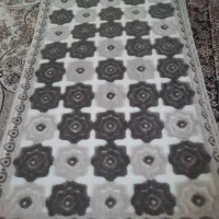 پادری ۱۲۰۰ شانه مخملی